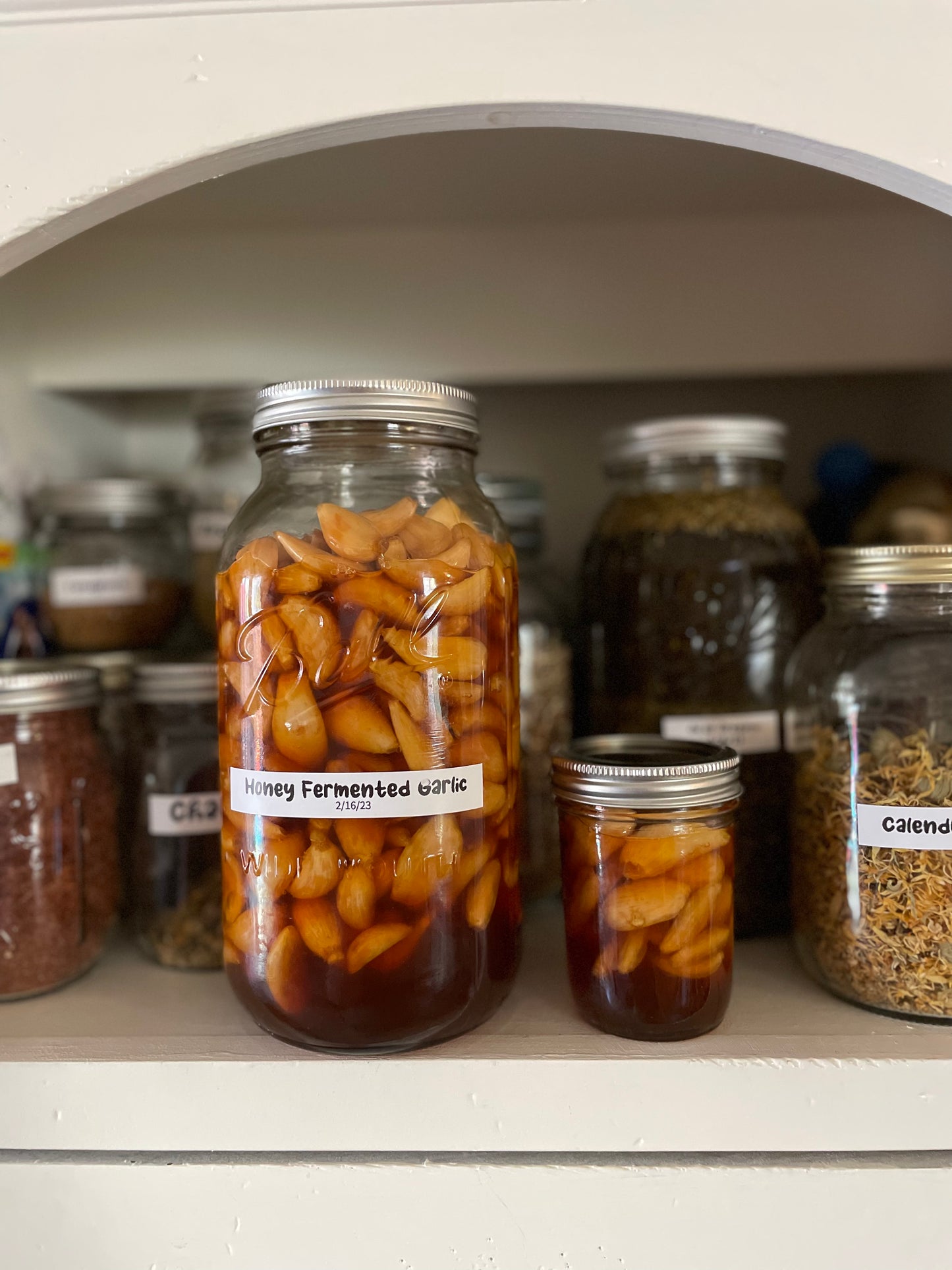 Honey Fermented Garlics