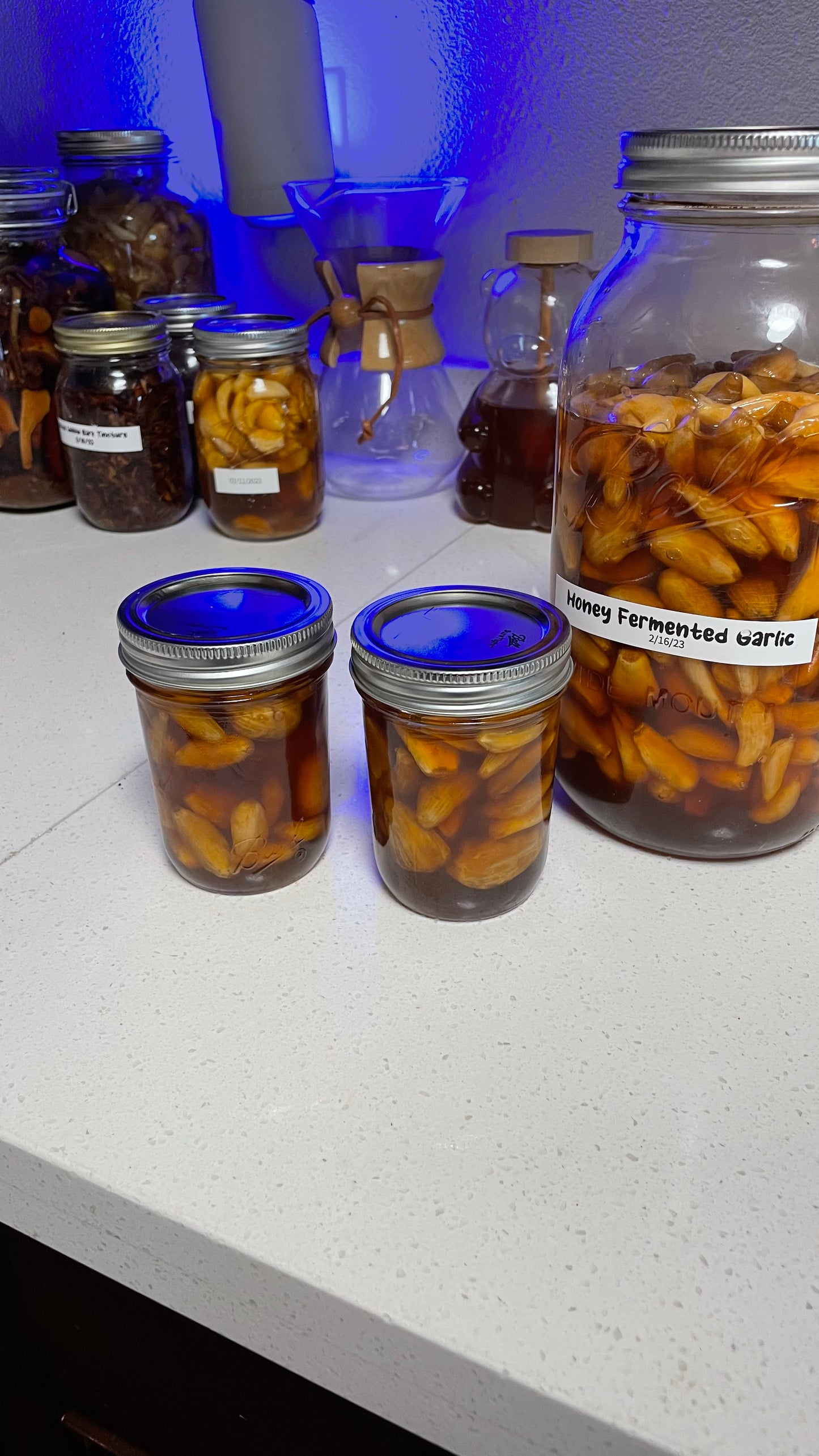 Honey Fermented Garlics